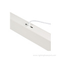 Suspended Trimless Linear Light 1200mm